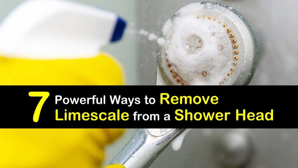 How To Clean And Descale Your Shower Head